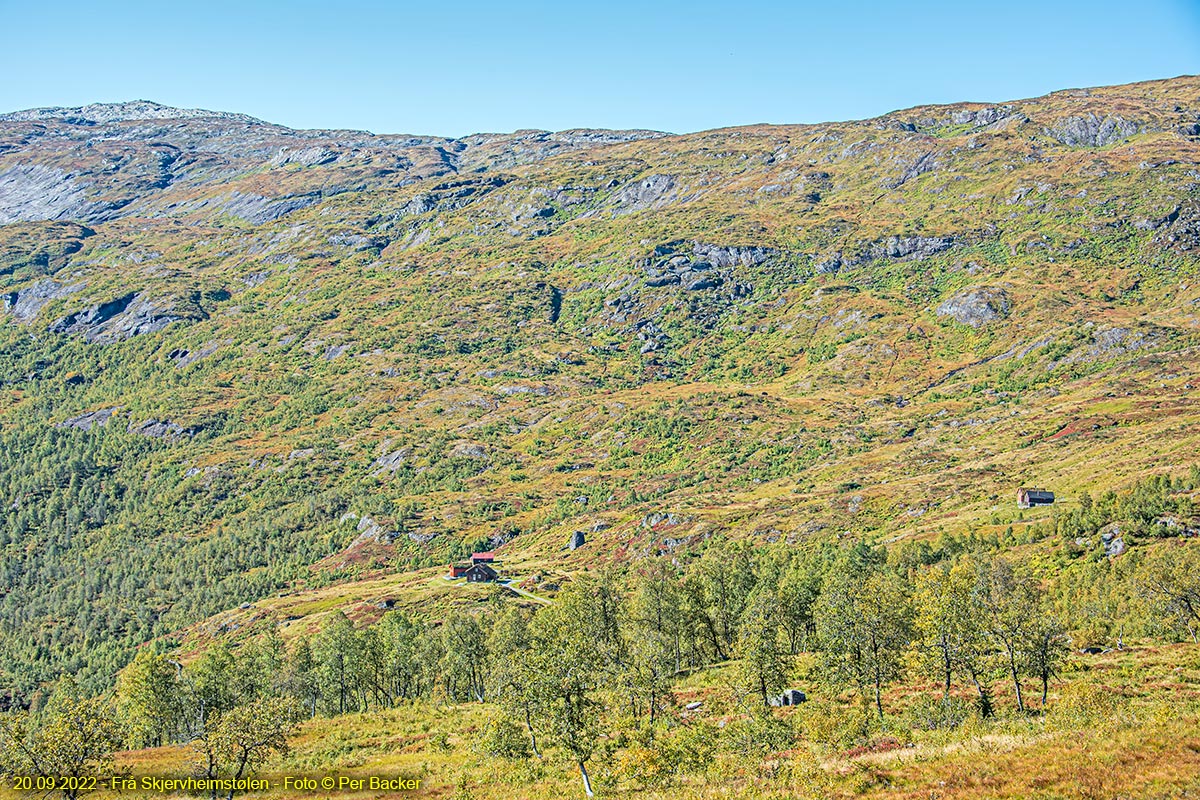 Frå Skjervheimstølen