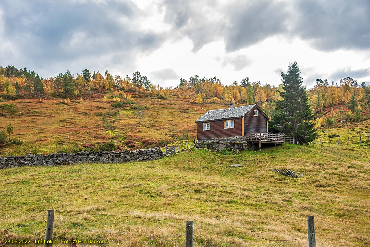 Frå Løkjo