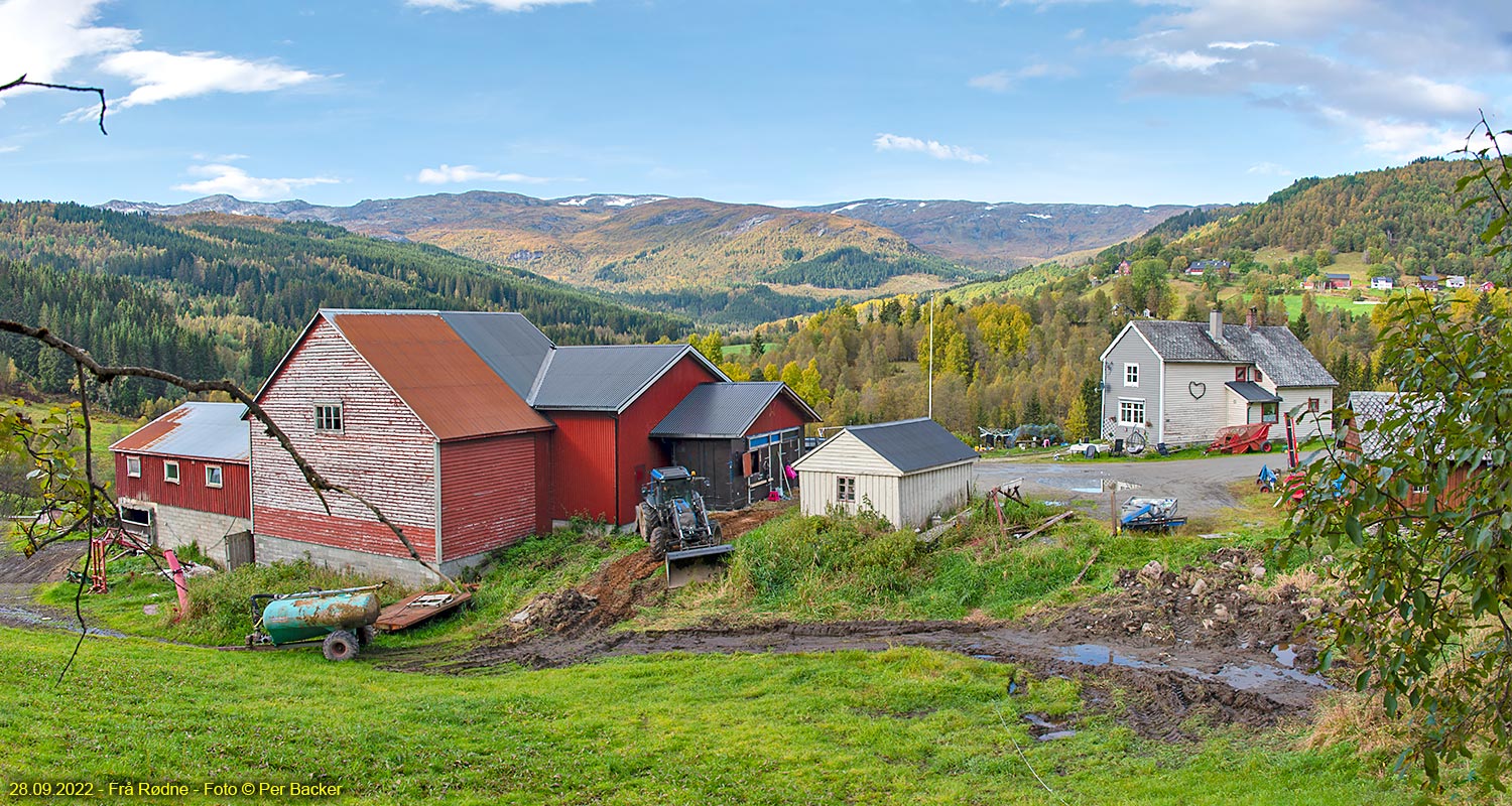 Frå Rødne