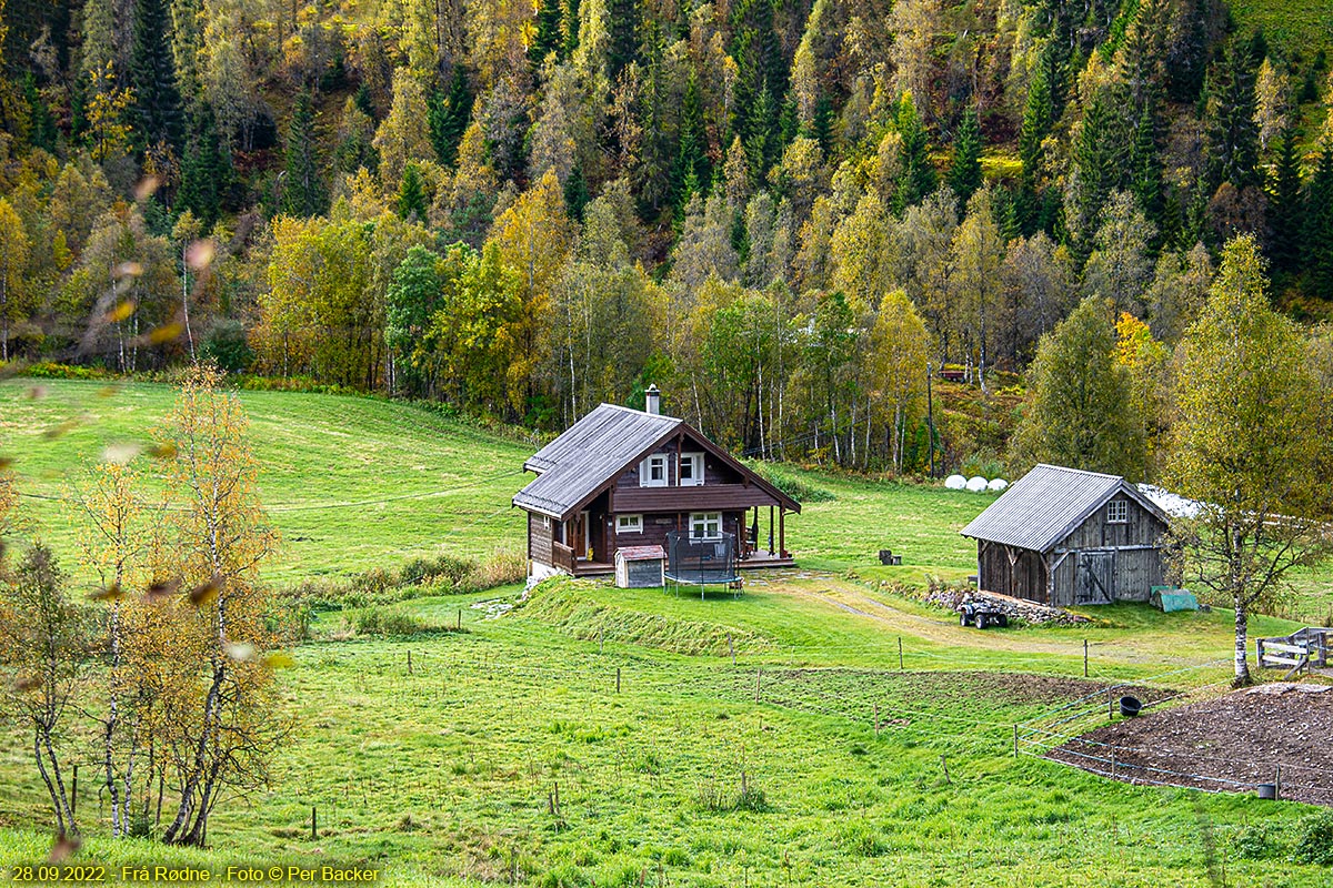  Frå Rødne