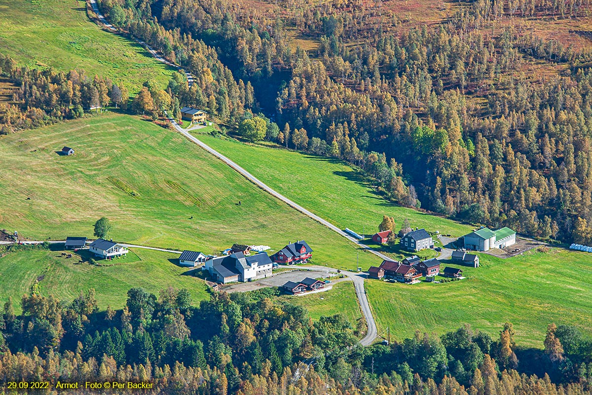 Årmot