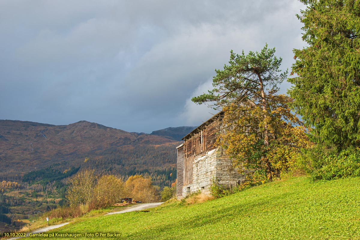 Gamlaløo på Kvasshaugen