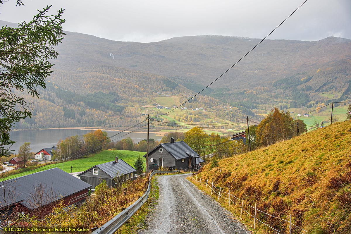 Frå Nesheim