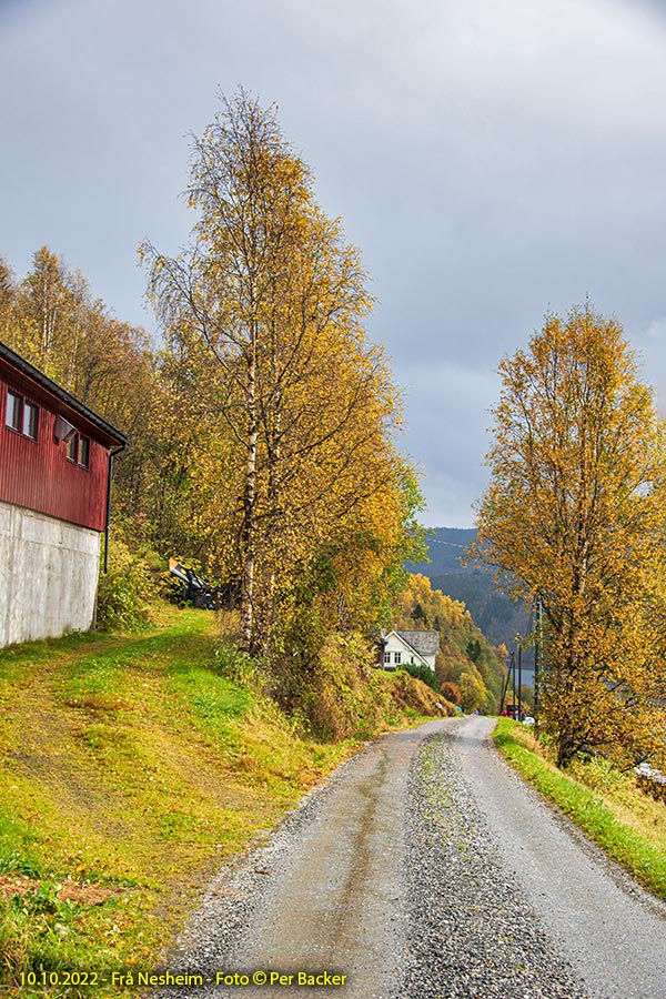 Frå Nesheim