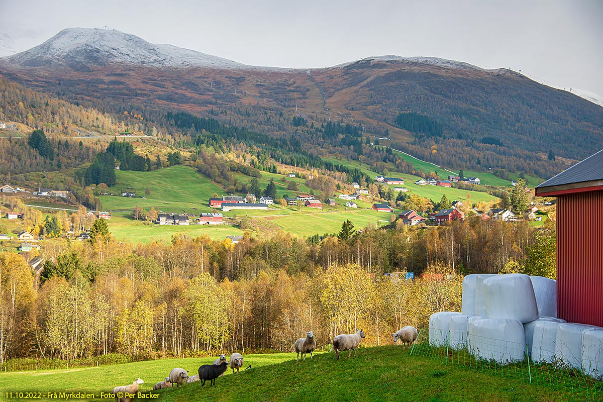 Frå Myrkkdalen