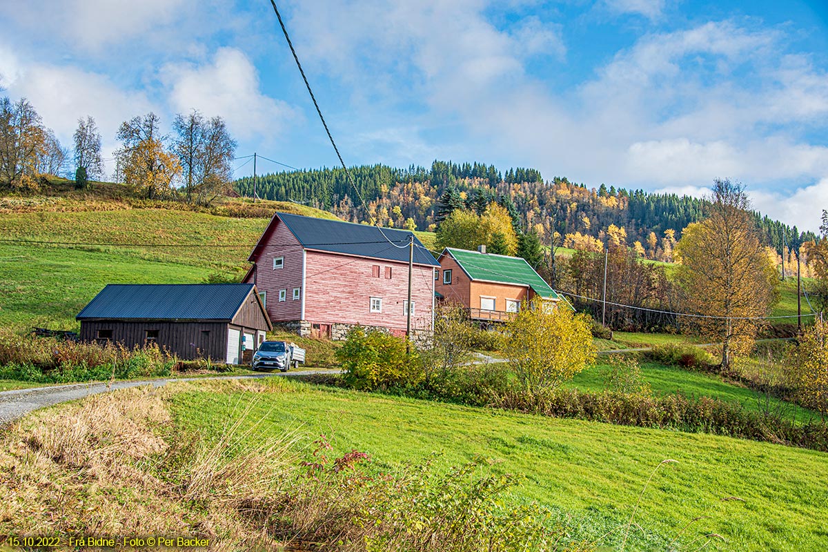 Frå Bidne