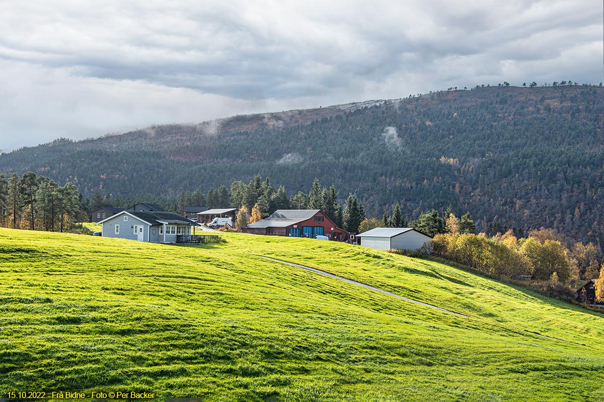 Frå Bidne