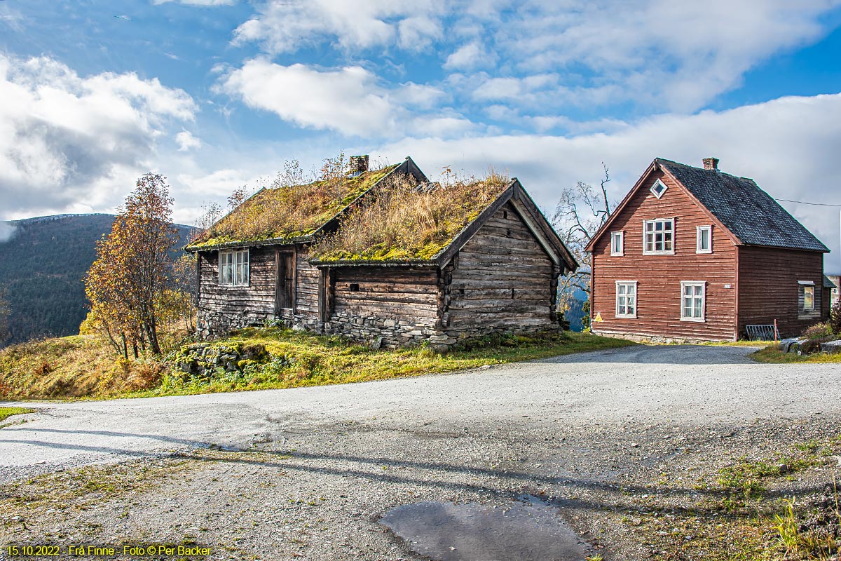 Frå Finne