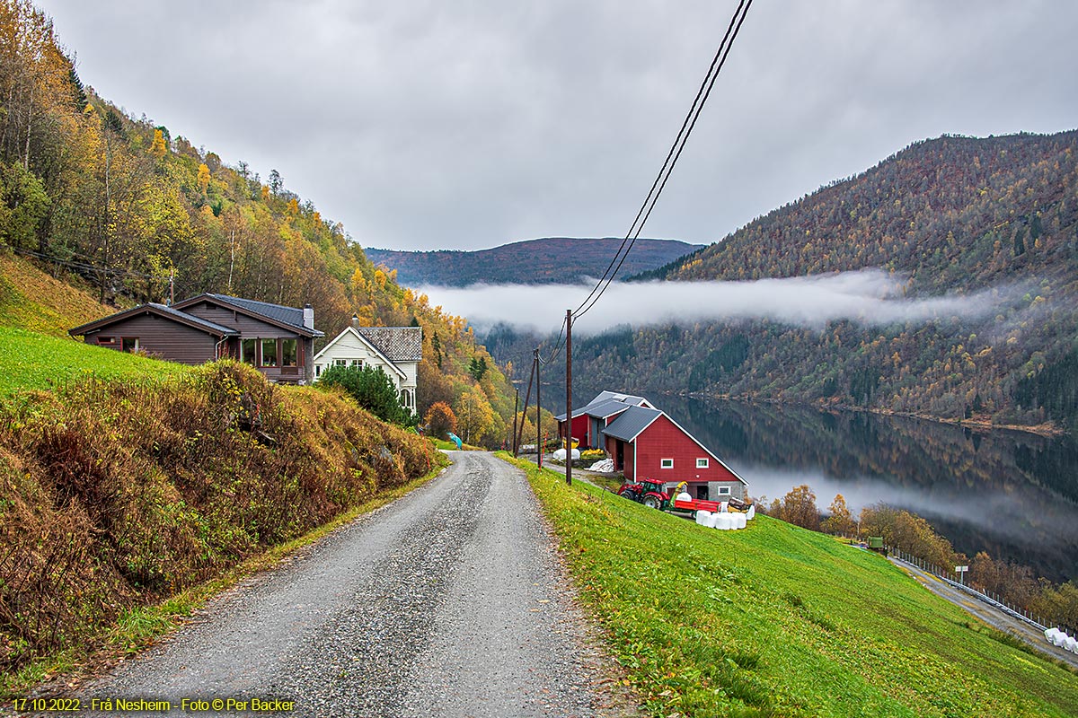 Frå Nesheim