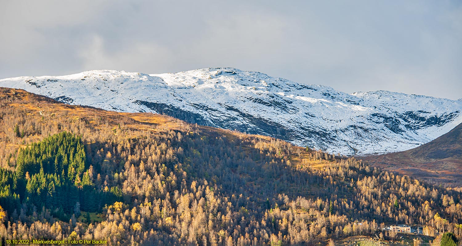 Mørkvesberget