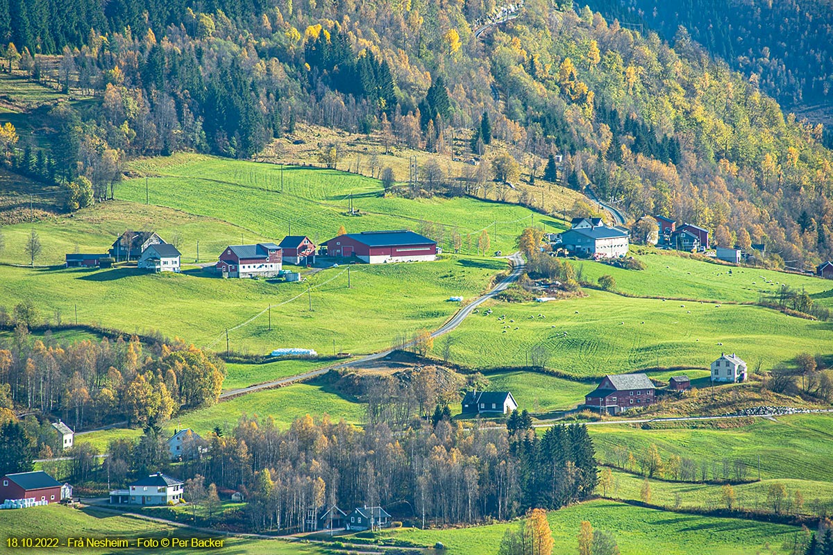 Frå Nesheim