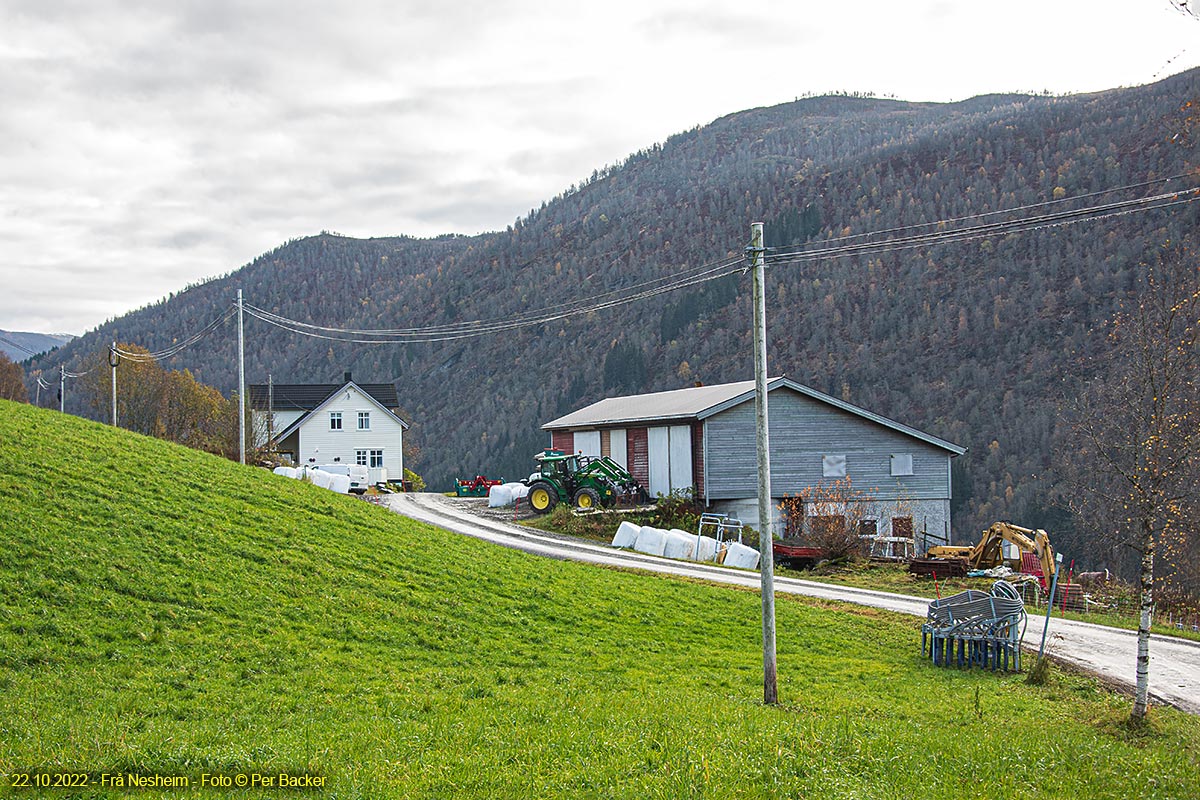 Frå Nesheim