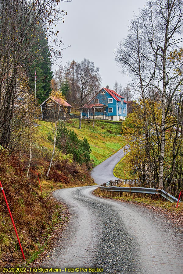 Frå Skjervheim