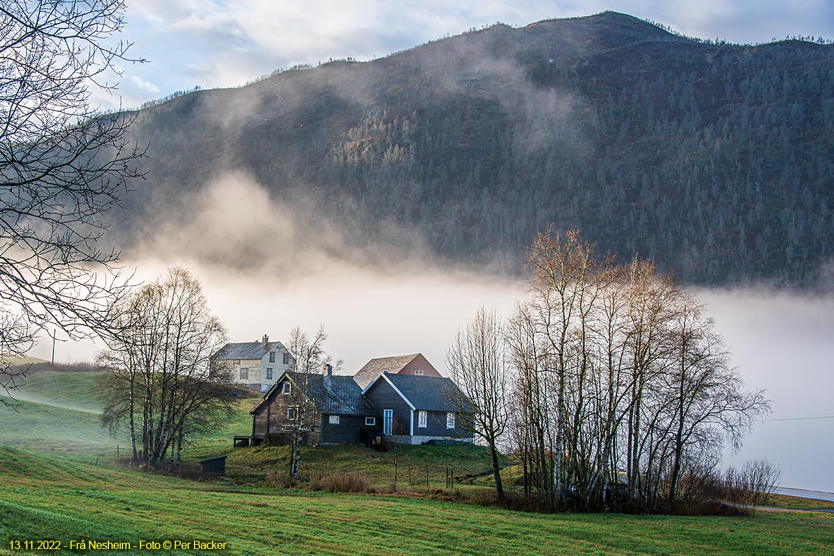 Frå Nesheim