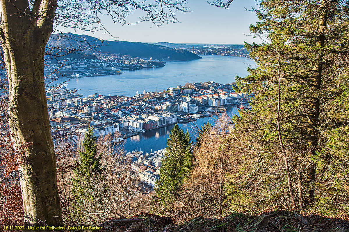 Utsikt frå Fjellveien