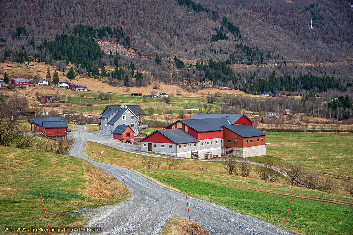 Frå Skjervheim