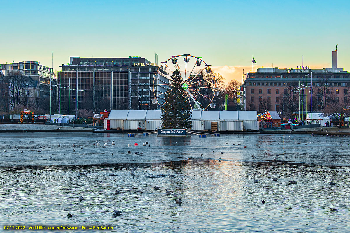 Ved Lille Lungegårdsvann