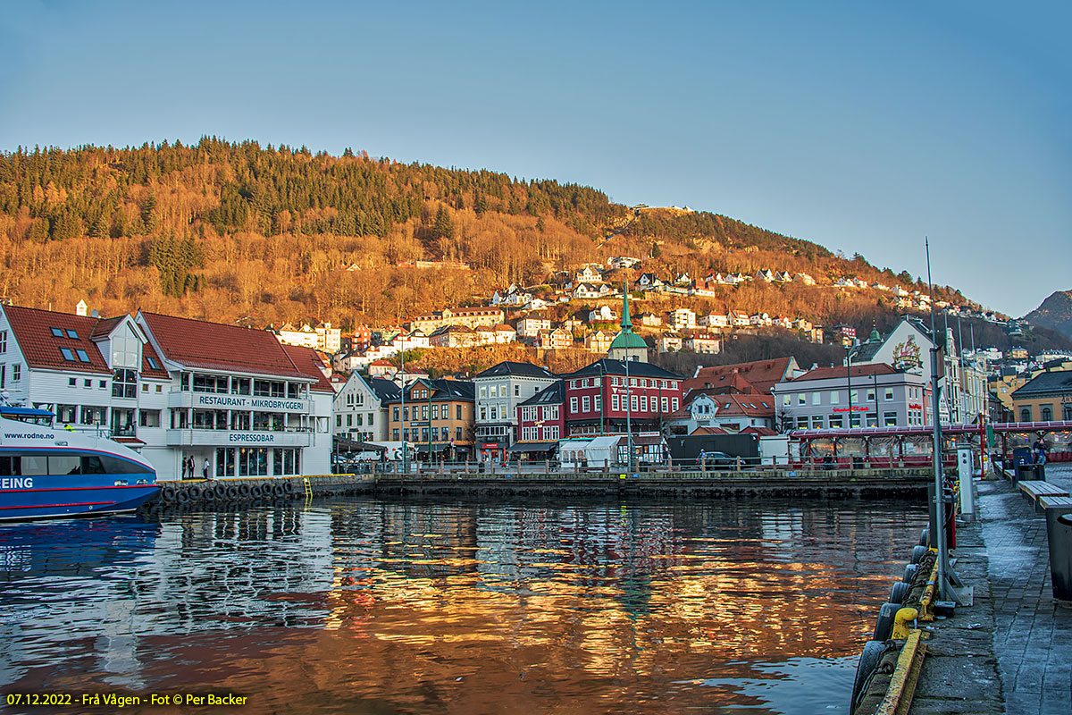 Frå Vågen