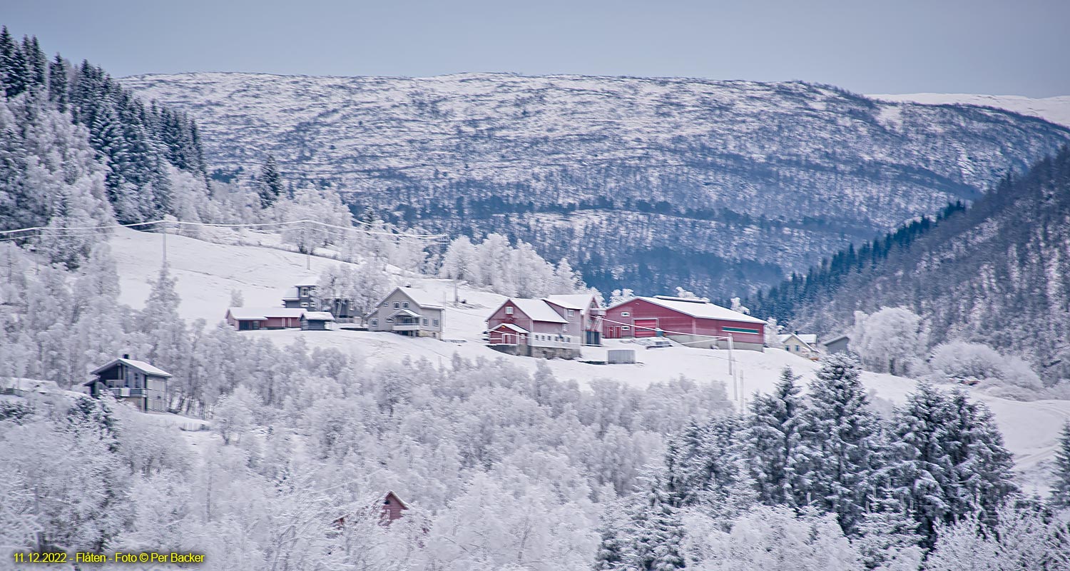 Flåten