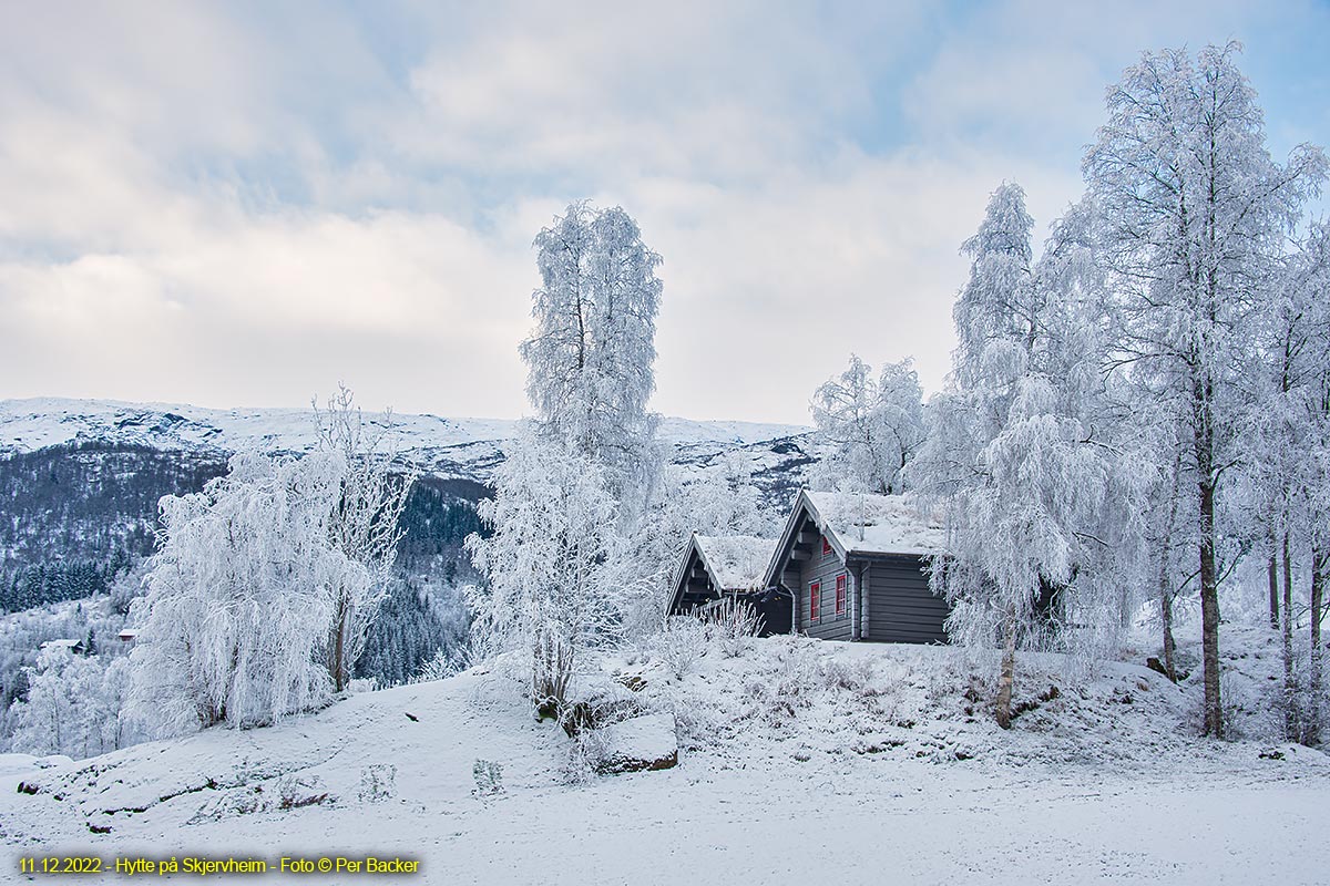 Hytte på Skjervheim