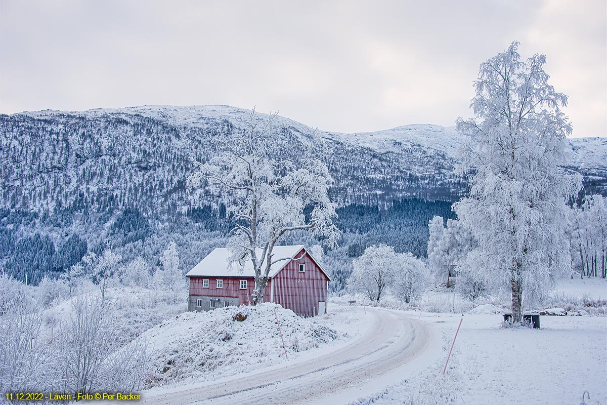 Låven