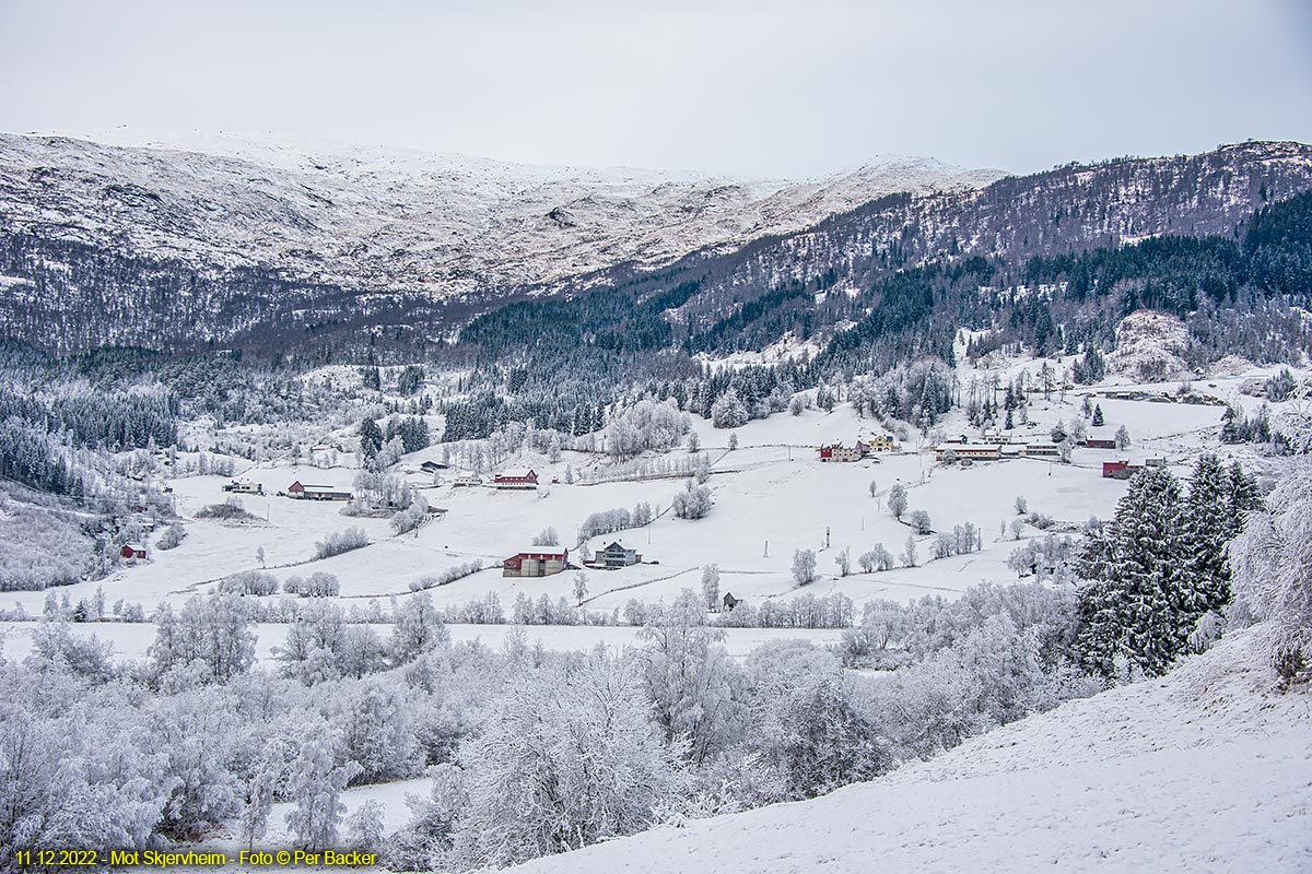 Mot Skjervheim