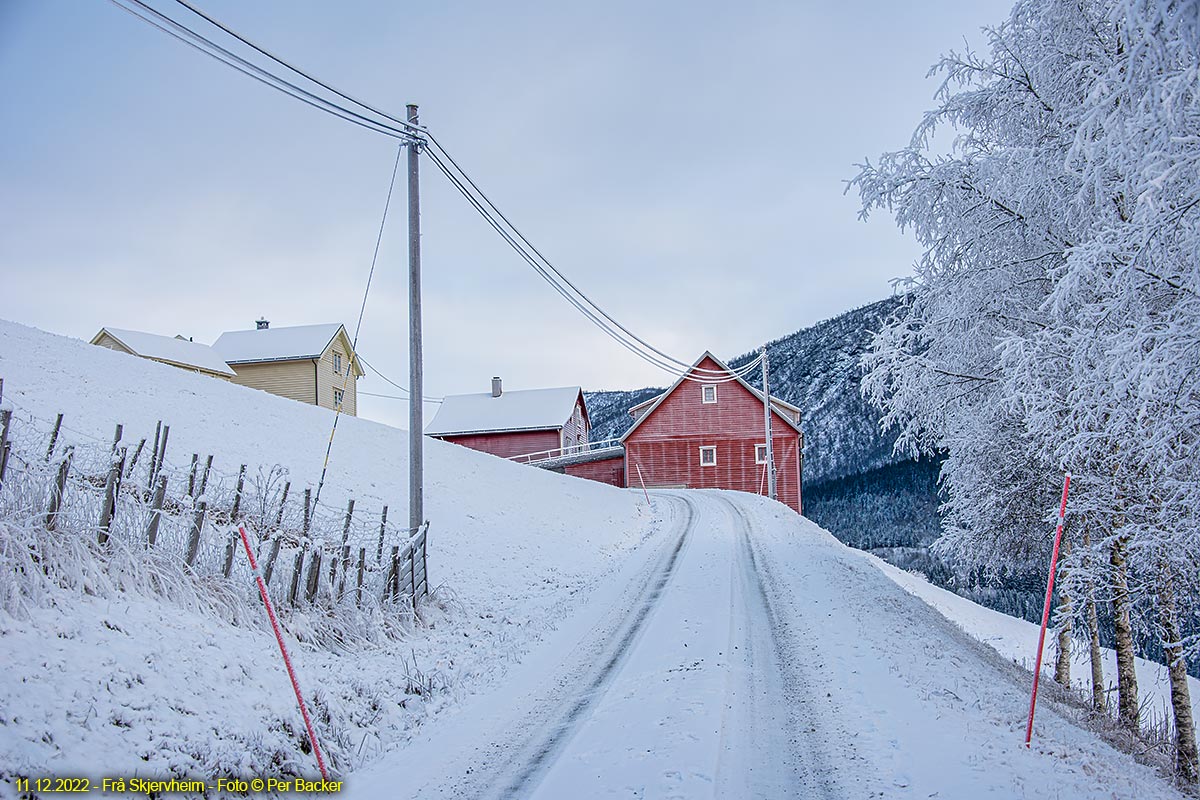 Frå Skjervheim