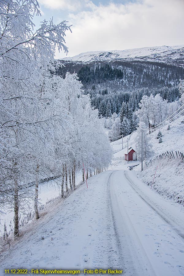 Frå Skjervheimsvegen