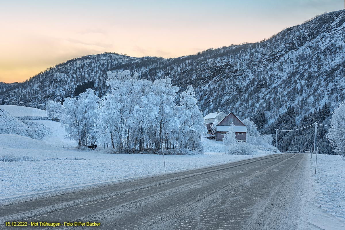 Tråhaugen