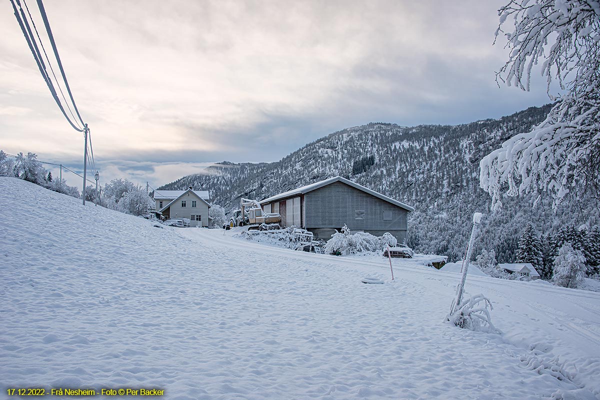 Frå Nesheim