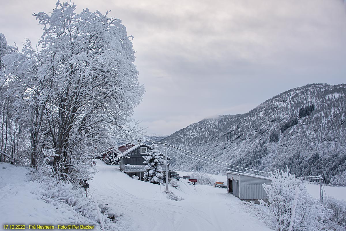 Frå Nesheim