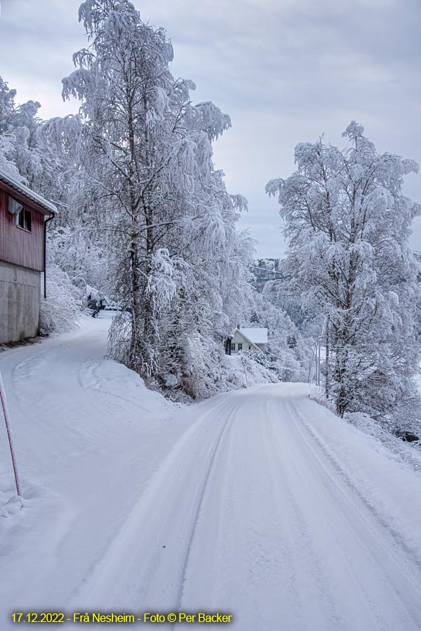 Frå Nesheim