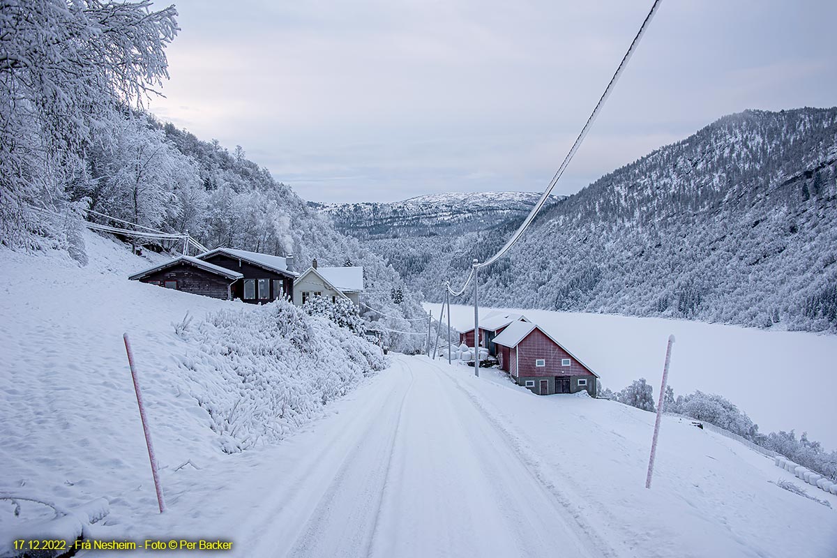 Frå Nesheim