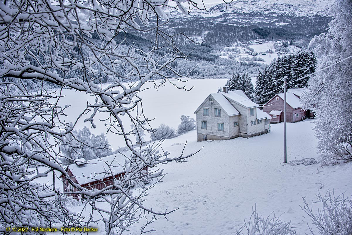 Frå Nesheim