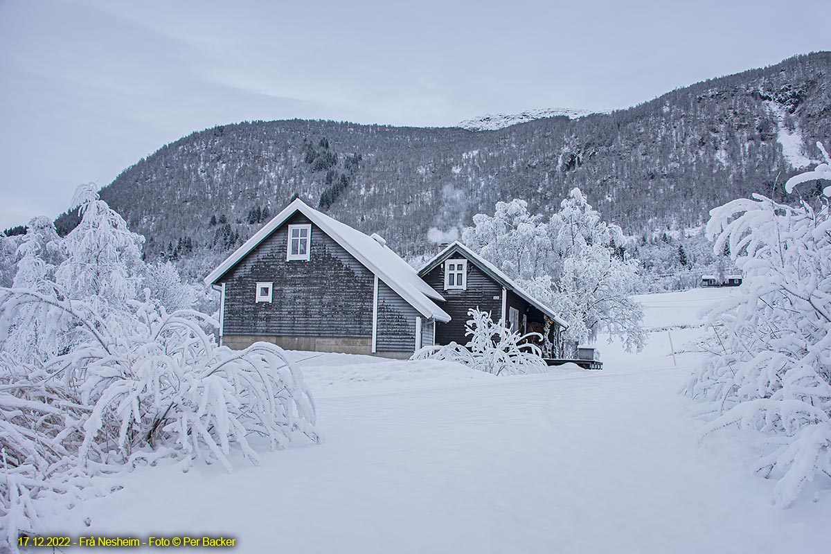 Frå Nesheim