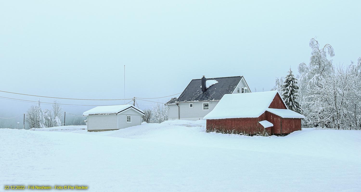 Frå Nesheim