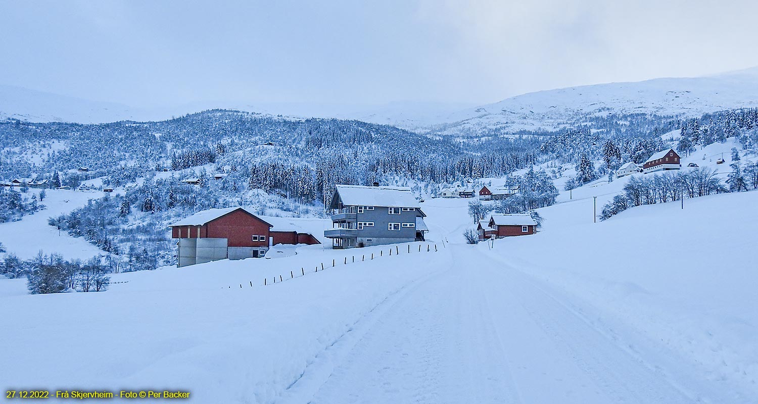 Frå Skjervheim