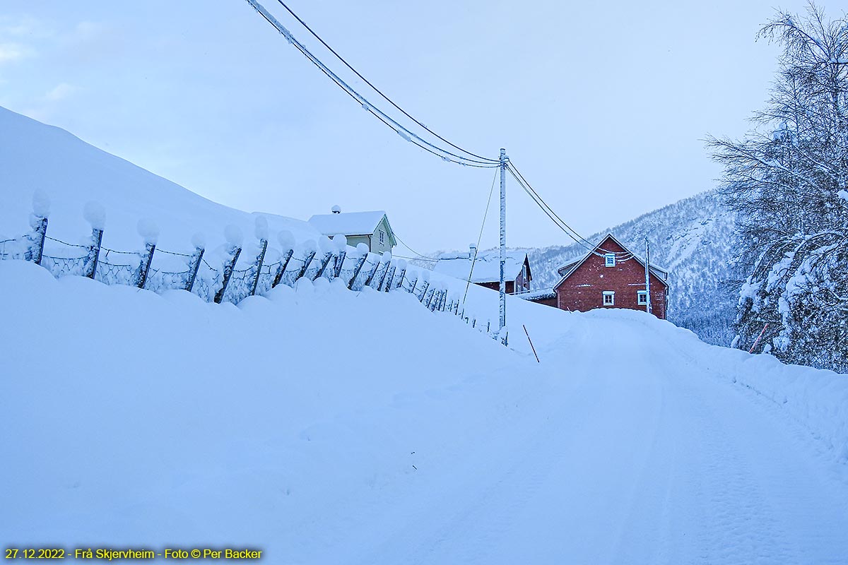 Frå Skjervheim