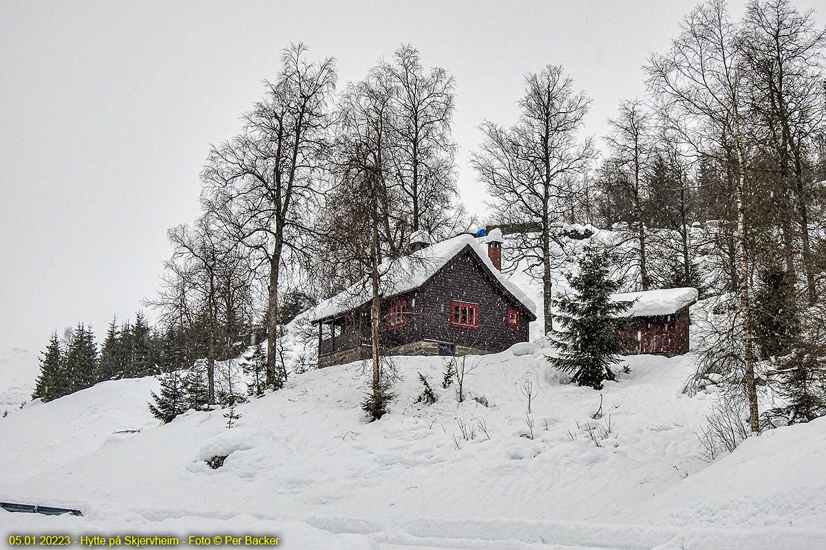 Hytte på Skjervheim