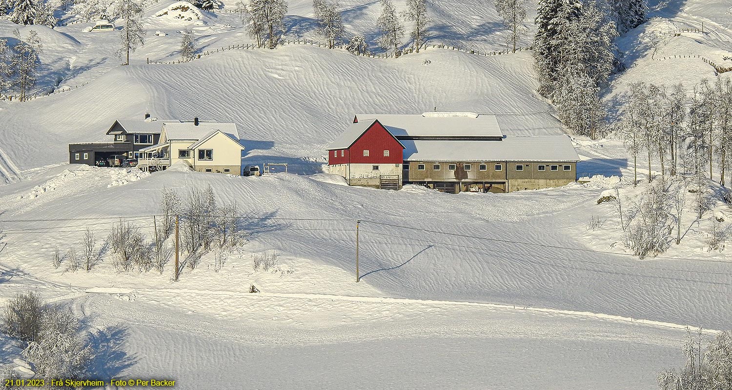 Frå Skjervheim