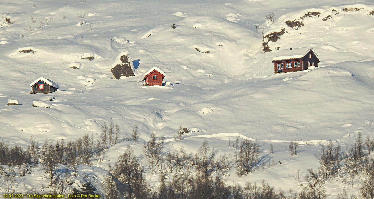 Frå Skjervheimstølen