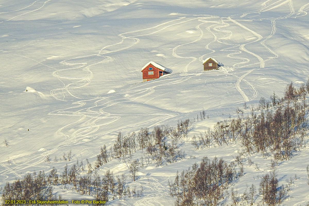 Frå Skjervheimstølen