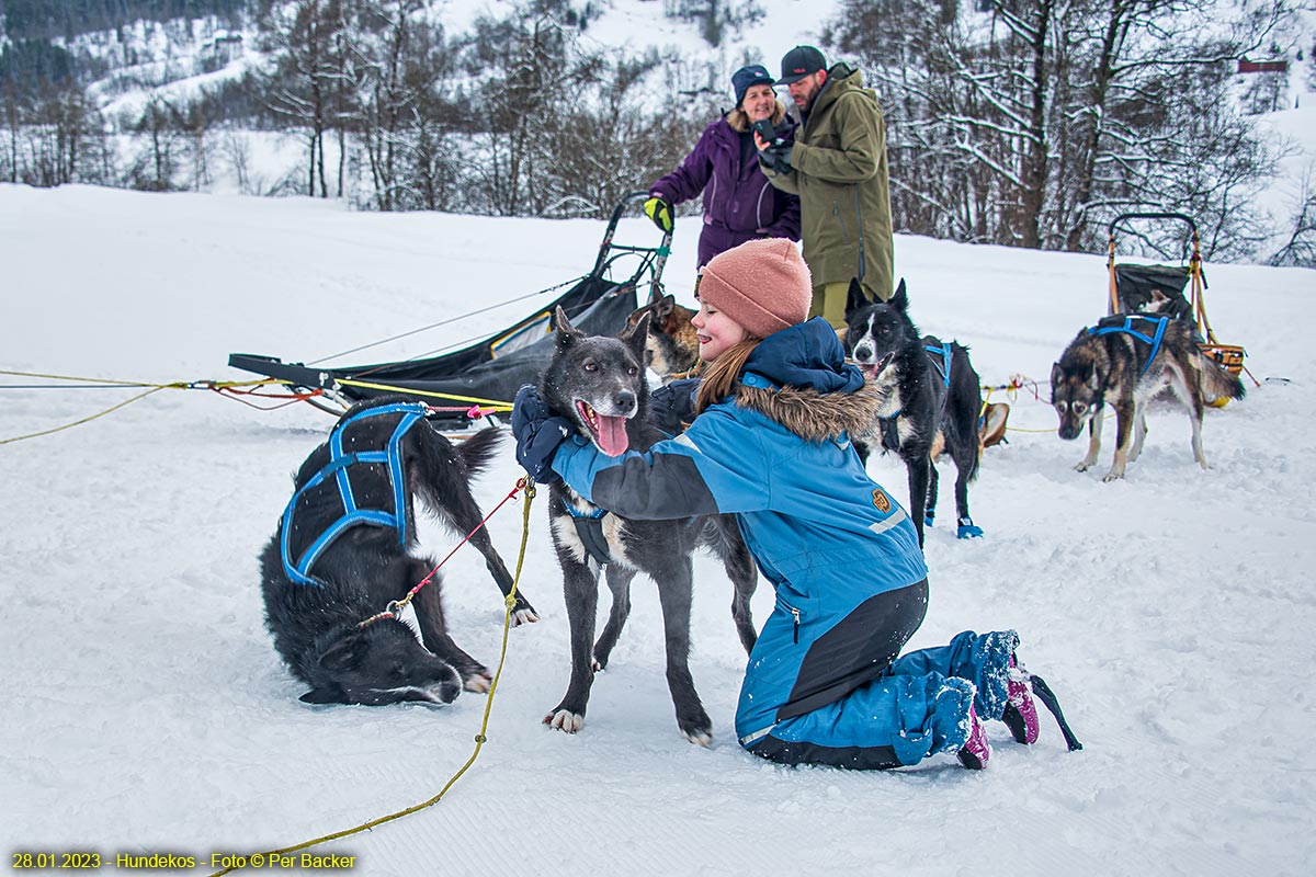 Hundekos