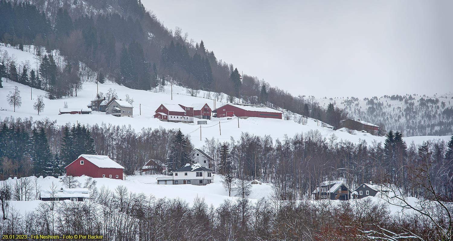 Frå Nesheim