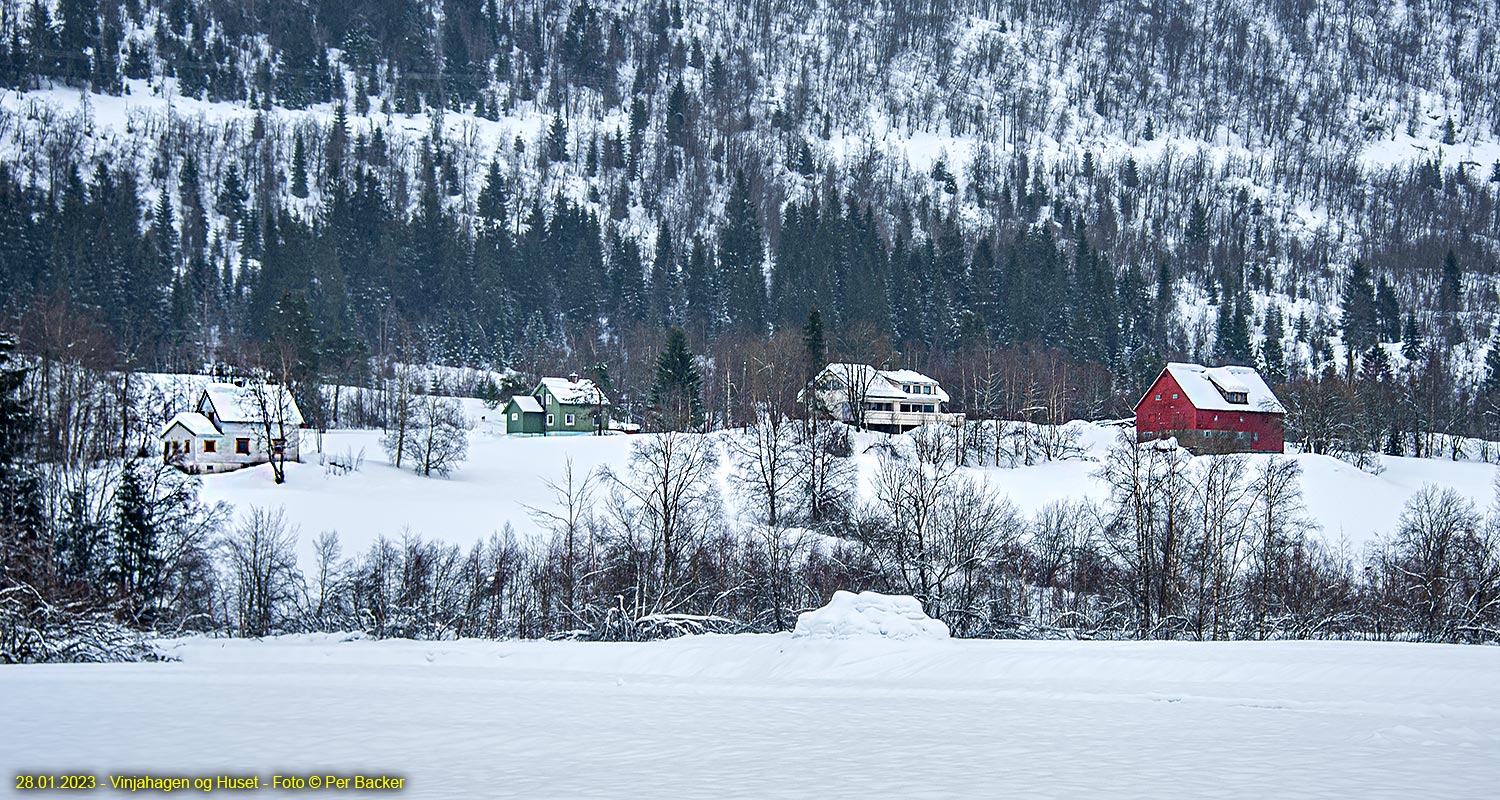 Vinjahagen og Huset