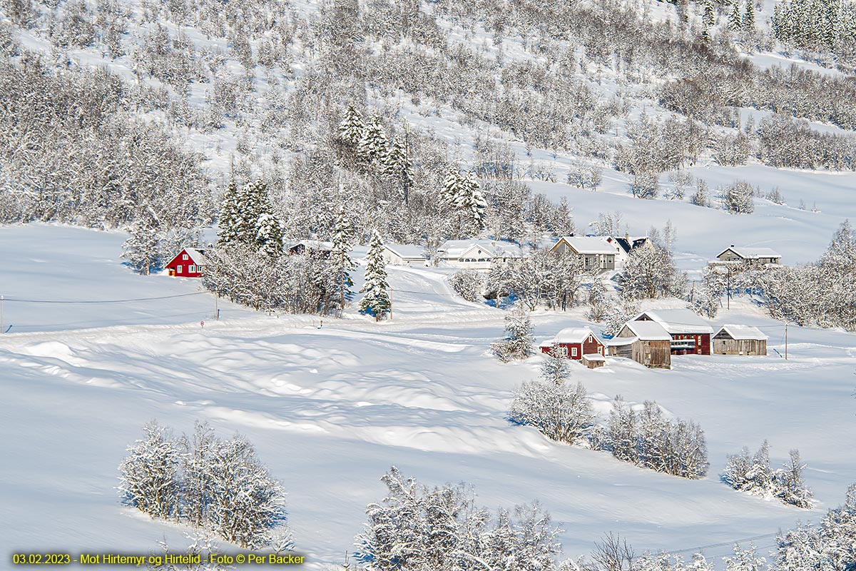 Mot Hirtemyr og Hirtelid