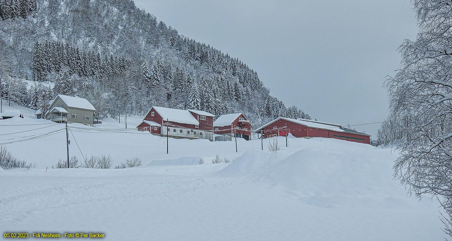 Frå Nesheim