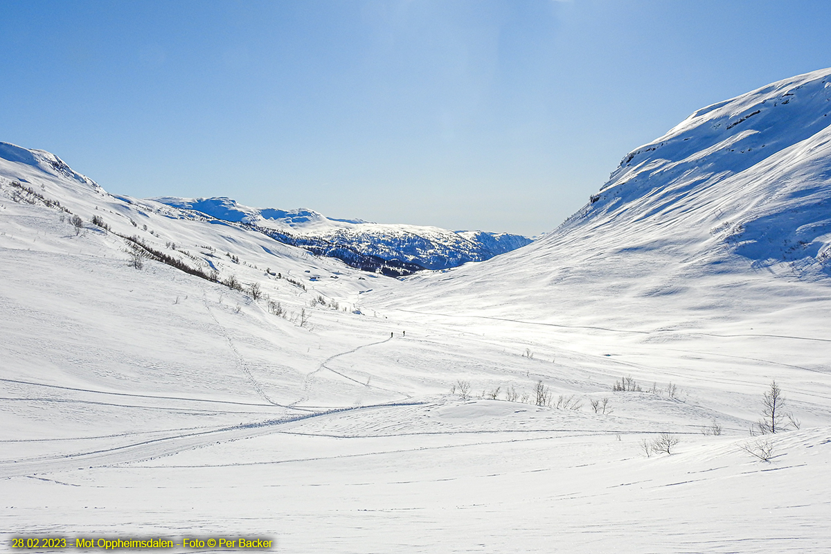 Mot Oppheimsdalen