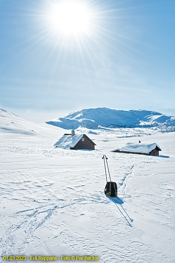 Frå Reppane