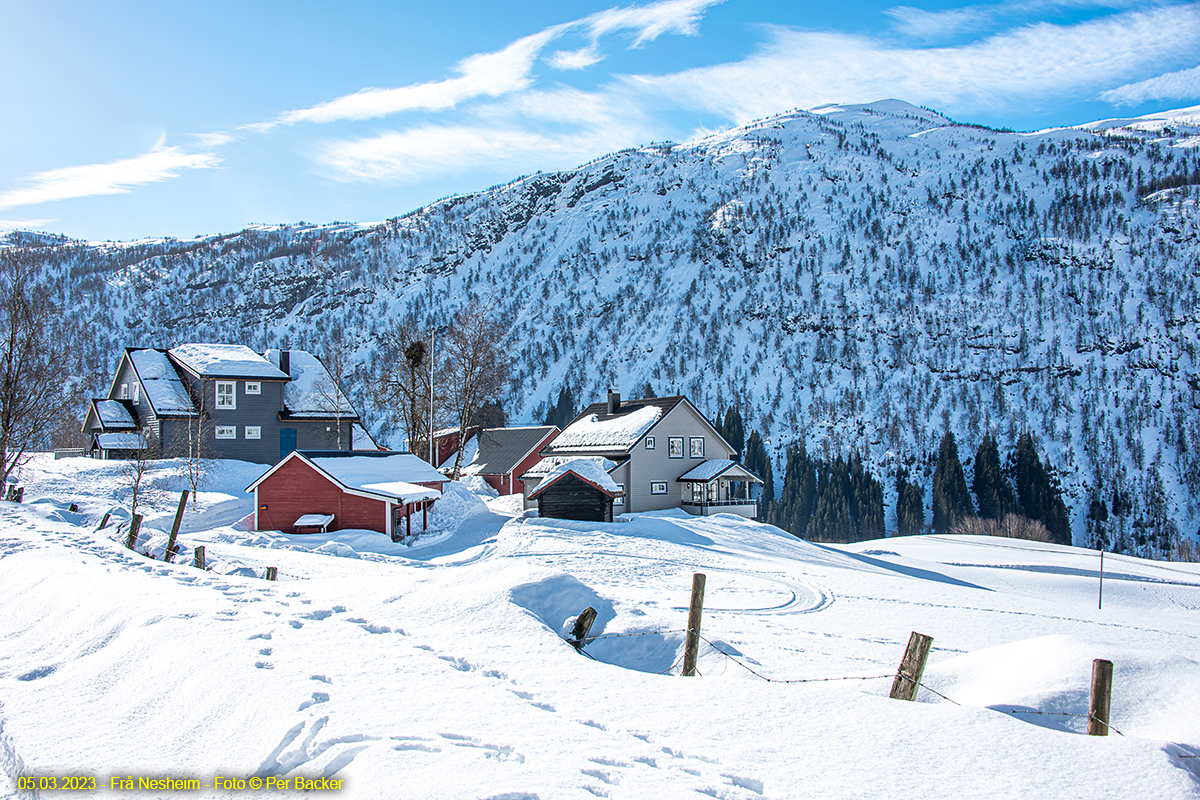 Frå Nesheim